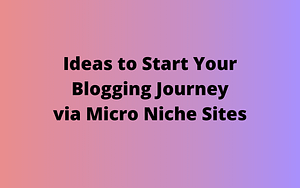 10+ Ideas to Start a Micro Niche Site in 2020